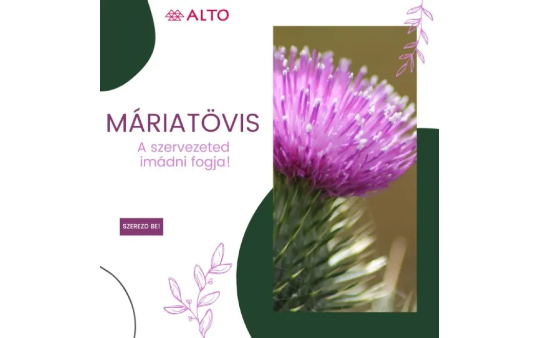 Itt a máriatövis