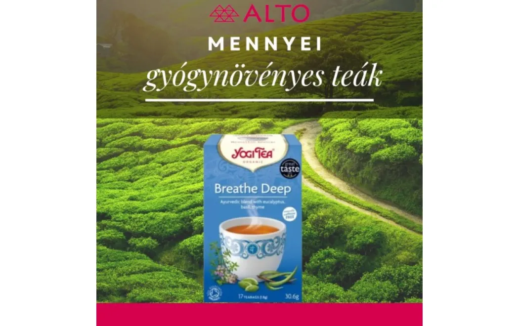 Gyógynövényes teák hideg estékre - Melegedj át egy csésze Yogi Bio Teával
