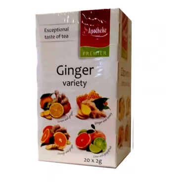 gyömbér tea variációk 20x2g 40 g