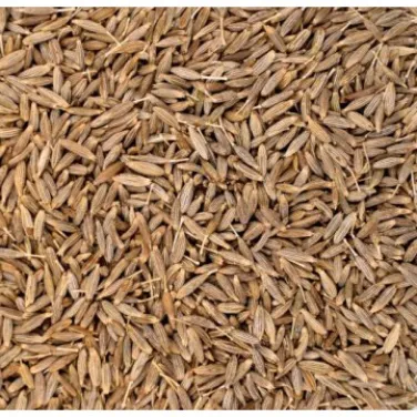 Bio római kömény, egész 400 g
