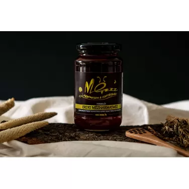 Mézzz - erdei mézharmatméz termelői 500g