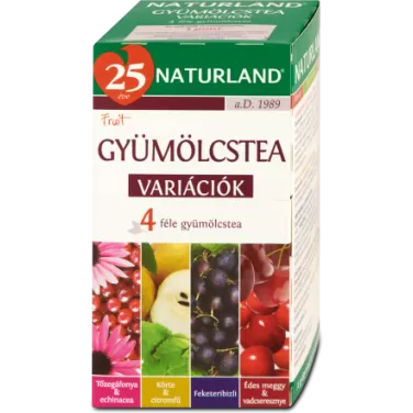 gyümölcstea variációk filteres 20db